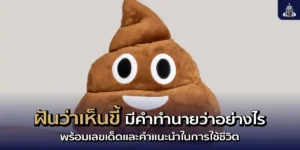 ฝันเห็นขี้ ตีเลขแม่น ๆ พร้อมคำทำนายโชคลาภ และแนวทางในการดำเนินชีวิต