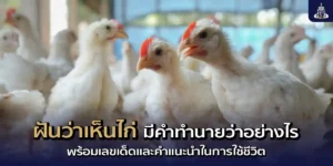 ฝันเห็นไก่คำทำนาย โชคลาภ เลขเด็ด และแนวทางในการดำเนินชีวิต
